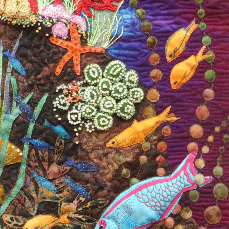 Life on the Reef detail