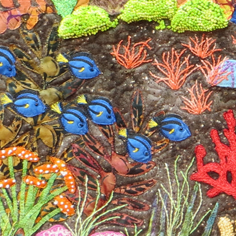 Life on the Reef detail